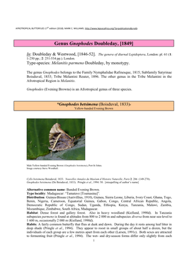 126 Genus Gnophodes Doubleday