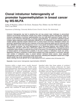 Clonal Intratumor Heterogeneity of Promoter Hypermethylation In