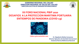 Xii Foro Nacional Pbip 2020 Desafios a La Proteccion Maritima Portuaria Entiempos De Pandemia (Covid-19)