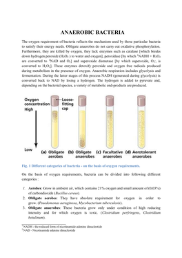 Anaerobic Bacteria