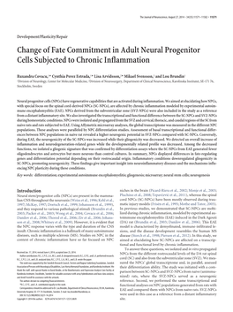 Change of Fate Commitment in Adult Neural Progenitor Cells Subjected to Chronic Inflammation
