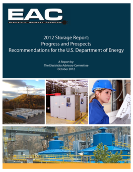 2012 Storage Report: Progress and Prospects Recommendations for the U.S
