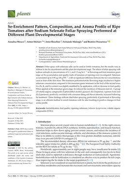 Se-Enrichment Pattern, Composition, and Aroma Profile of Ripe