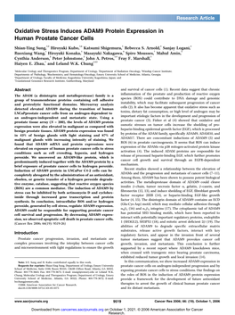 Oxidative Stress Induces ADAM9 Protein Expression in Human Prostate Cancer Cells