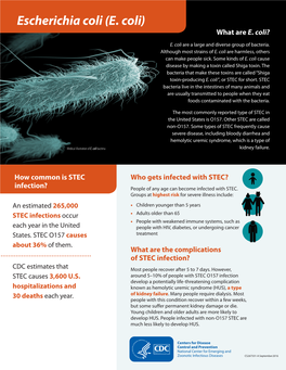 Escherichia Coli (E. Coli) What Are E