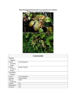 Draft Plant Propagation Protocol