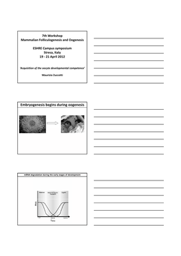 Embryogenesis Begins During Oogenesis