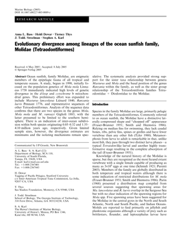 Evolutionary Divergence Among Lineages of the Ocean Sunfish Family