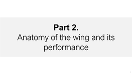 Part 2. Anatomy of the Wing and Its Performance
