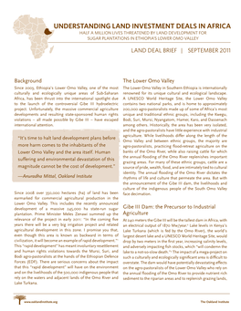 Understanding Land Investment Deals in Africa Half a Million Lives Threatened by Land Development for Sugar Plantations in Ethiopia’S Lower Omo Valley