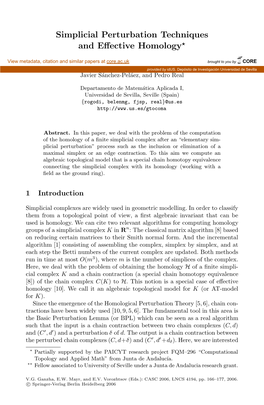 Simplicial Perturbation Techniques and Effective Homology