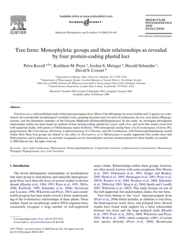 Tree Ferns: Monophyletic Groups and Their Relationships As Revealed by Four Protein-Coding Plastid Loci