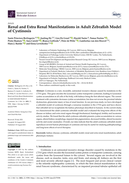 Renal and Extra Renal Manifestations in Adult Zebrafish Model of Cystinosis