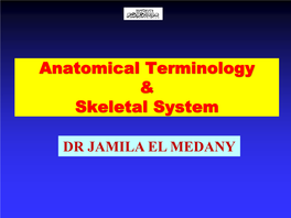 Anatomical Terminology, Skeletal System