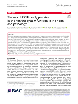 The Role of CPEB Family Proteins in the Nervous System Function in the Norm and Pathology Eugene Kozlov1 , Yulii V