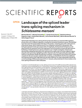 Landscape of the Spliced Leader Trans-Splicing Mechanism In