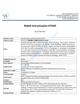 Rabbit Anti-Phospho-ATG4D-SL5203R-FITC