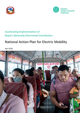 National Action Plan for Electric Mobility