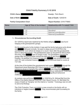 Child Fatality Summary C-15 2018
