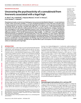 Uncovering the Psychoactivity of a Cannabinoid from Liverworts Associated with a Cyano Cannabinoids