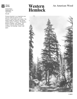 Western Hemlock Is an Important Com- Mercial Softwood Species in the Western United States and Canada