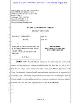 A Copy of the Lawsuit