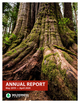 2020 Annual Report