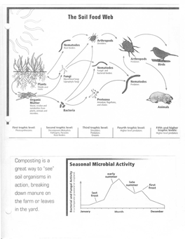 The Soil Food Web Seasonal Microbial Activity