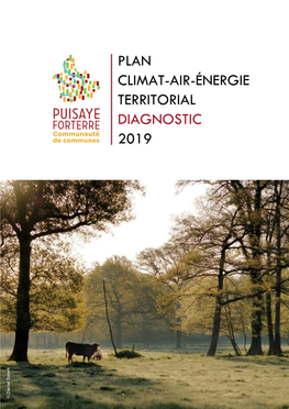Plan Climat-Air-Énergie Territorial Diagnostic 2019