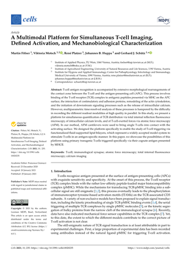 A Multimodal Platform for Simultaneous T-Cell Imaging, Deﬁned Activation, and Mechanobiological Characterization