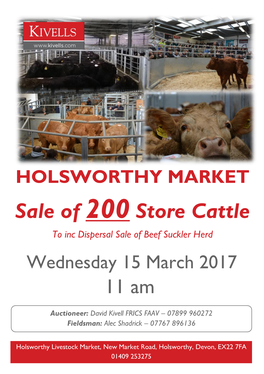 Sale of 200 Store Cattle to Inc Dispersal Sale of Beef Suckler Herd