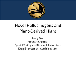 Novel Hallucinogens and Plant-Derived Highs