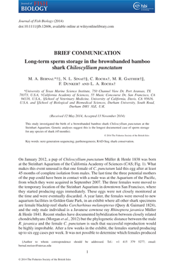 Long-Term Sperm Storage in the Brownbanded Bamboo Shark Chiloscyllium Punctatum