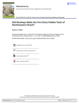 Did Monkeys Make the Pre-Clovis Pebble Tools of Northeastern Brazil?