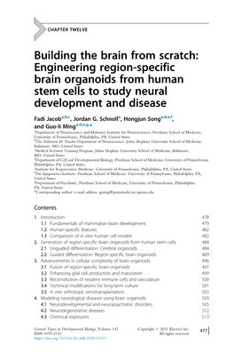 Engineering Region-Specific Brain Organoids from Human Stem Cells to Study Neural Development and Disease