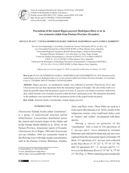 Parasitism of the Isopod Riggia Puyensis Rodríguez-Haro Et Al. in Two Armored Catfish from Pastaza Province (Ecuador)