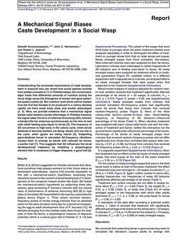 A Mechanical Signal Biases Caste