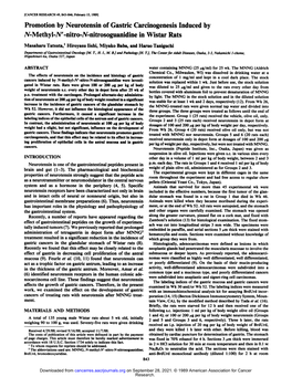 Promotion by Neurotensin of Gastric Carcinogenesis Induced by TV