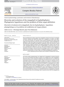 Diversity and Evolution of the Megaphyll in Euphyllophytes