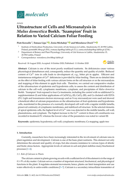 Ultrastructure of Cells and Microanalysis in Malus Domestica Borkh. 'Szampion' Fruit in Relation to Varied Calcium Foliar Fe