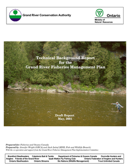 Grand River Fish Plan Technical Background Report