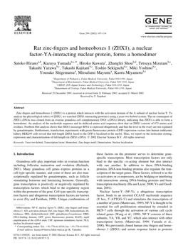 Rat Zinc-Fingers and Homeoboxes 1 (ZHX1), a Nuclear Factor-YA