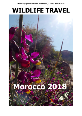 Morocco 2018
