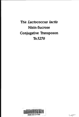 Thelactococcus Lactis Nisin-Sucrose Conjugative Transposon Tti5276