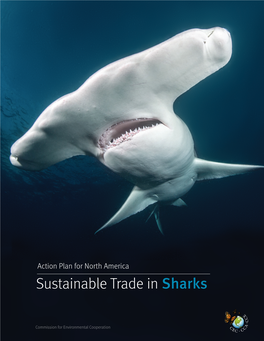 Sustainable Trade in Sharks