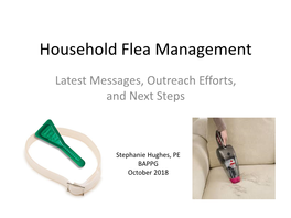 Household Flea Management