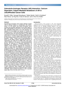 Calmodulin-Androgen Receptor (AR) Interaction: Calcium- Dependent, Calpain-Mediated Breakdown of AR in Lncapprostatecancer Cells