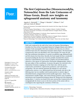 From the Late Cretaceous of Minas Gerais, Brazil: New Insights on Sphagesaurid Anatomy and Taxonomy