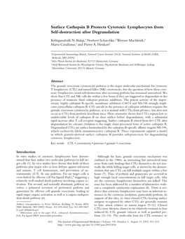 Surface Cathepsin B Protects Cytotoxic Lymphocytes from Self-Destruction After Degranulation