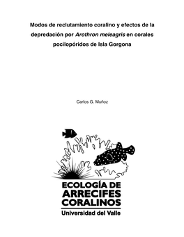 Modos De Reclutamiento Coralino Y Efectos De La Depredación Por Arothron Meleagris En Corales Pocilopóridos De Isla Gorgona